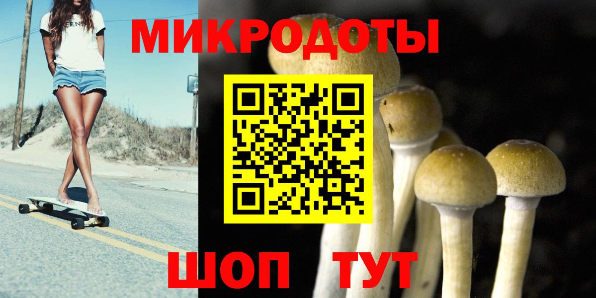 Галлюциногенные грибы Psilocybe  Псилоцибиновые грибы MAGIC MUSHROOMS  Анжеро-Судженск  Вход с VPN 